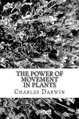 The Power of Movement in Plants by Charles Darwin