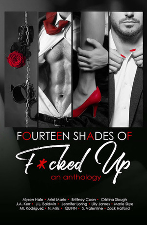 Fourteen Shades of F*cked Up by Ariel Marie, M.L. Rodriguez, Zack Halford, Marie Skye, J.A. Kerr, S. Valentine, J.L. Baldwin, Lilly James, Quinn, Alyson Hale, Brittney Coon, Jennifer Loring, Cristina Slough, N. Mills