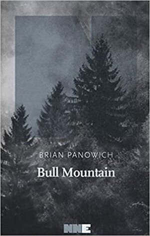 Bull Mountain by Brian Panowich