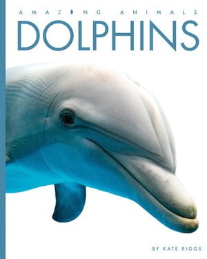 Dolphins by Kate Riggs