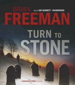 Turn to Stone by Brian Freeman