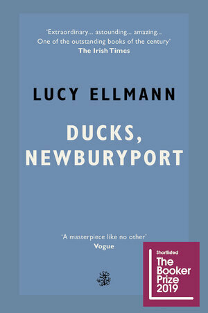 Ducks, Newburyport by Lucy Ellmann