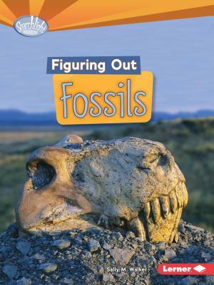 Figuring Out Fossils by Sally M. Walker