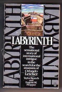 Labyrinth by Eugene M. Propper, Taylor Branch