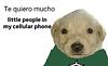 cookiewizard219's profile picture