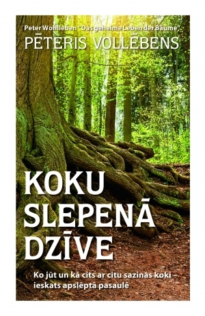 Koku slepenā dzīve. Ko jūt un kā cits ar citu sazinās koki - ieskats apslēptā pasaulē by Aija Jakoviča, Peter Wohlleben, Pēteris Vollēbens