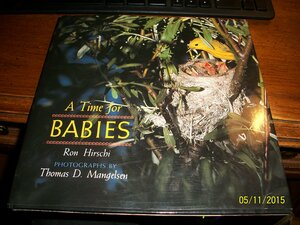 A Time for Babies by Ron Hirschi
