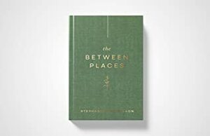 The Between Places: 100 days to trusting God when you don't know what's next by Stephanie May Wilson