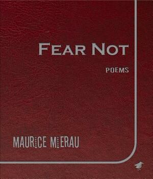 Fear Not by Maurice Mierau