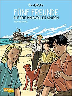 Fünf Freunde auf geheimnisvollen Spuren by Enid Blyton