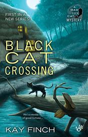 Black Cat Crossing by Kay Finch