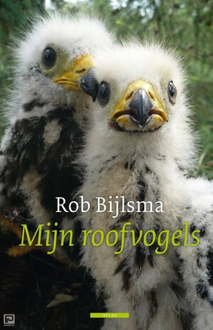 Mijn roofvogels by Rob Bijlsma