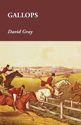 Gallops by David Gray