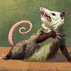 feralopossum's profile picture