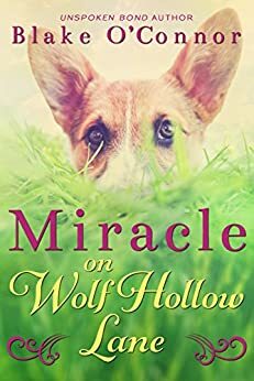 Miracle on Wolf Hollow Lane by Blake O'Connor, Susan Sparks