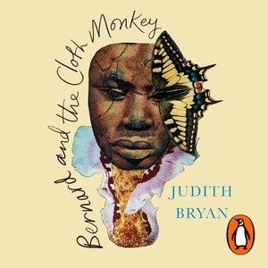 Bernard and the Cloth Monkey by Judith Bryan