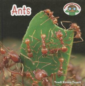 Ants by Trudi Strain Trueit