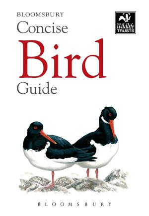 Concise Bird Guide by Bloomsbury Publishing