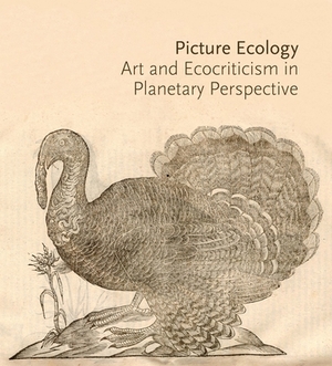Picture Ecology: Art and Ecocriticism in Planetary Perspective by 