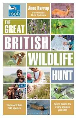 Rspb the Great British Wildlife Hunt by Anne Harrap