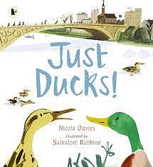 Just Ducks! by Nicola Davies, Salvatore Rubbino