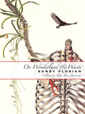 On Wonderland & Waste by Alexis Anne Mackenzie, Sandy Florian