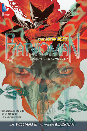 Batwoman, Volume 1: Hydrology by W. Haden Blackman, J.H. Williams III, Dave Stewart, Richard Friend, Amy Reeder