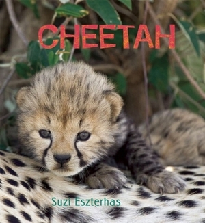 Cheetah by Suzi Eszterhas