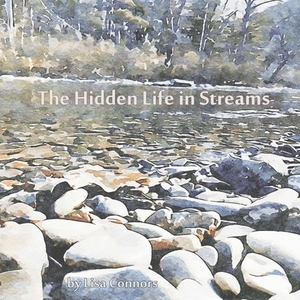 The Hidden Life in Streams by Lisa Connors