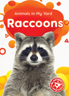 Raccoons by Amy McDonald