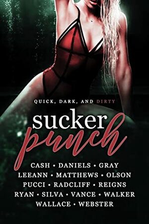 Sucker Punch by Ace Gray, Alexandra Silva, C.L. Matthews, Avery Reigns, Megan Daniels, Faith Ryan, Murphy Wallace, Elizabeth Cash, Misty Walker, Trilina Pucci, K. Webster, C.M. Radcliff, Ally Vance, Emery LeeAnn, Yolanda Olson