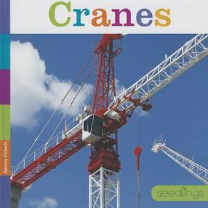 Cranes by Aaron Frisch