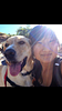 kimchiandco's profile picture