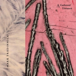 A Gathered Distance: Poems by Mark Tredinnick