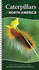 Caterpillars of North America: Easily Identify 90 Common Butterflies and Moths by Jaret C. Daniels