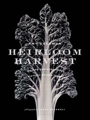 Heirloom Harvest: Modern Daguerreotypes of Historic Garden Treasures by Amy Goldman