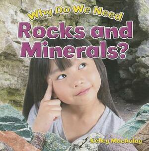 Why Do We Need Rocks and Minerals? by Kelley MacAulay