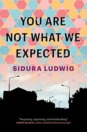 You Are Not What We Expected by Sidura Ludwig