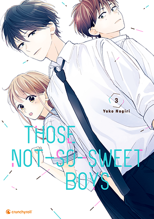 Those Not-So-Sweet Boys, Band 3 by Yoko Nogiri