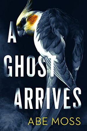 A Ghost Arrives by Abe Moss