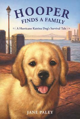 Hooper Finds a Family: A Hurricane Katrina Dog's Survival Tale by Jane Paley