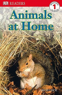 DK Readers L1: Animals at Home by David Lock