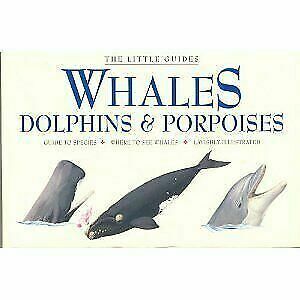 The Little Guides: Whales, Dolphins, and Porpoises by Peter Gill