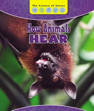 How Animals Hear by Joanne Mattern