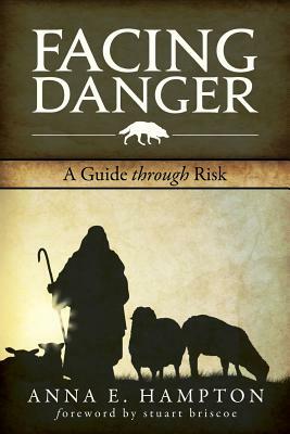 Facing Danger: A Guide Through Risk by Anna E. Hampton