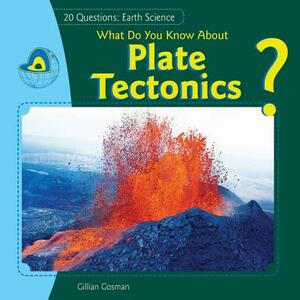 What Do You Know about Plate Tectonics? by Jillian Gosman, Gillian Gosman