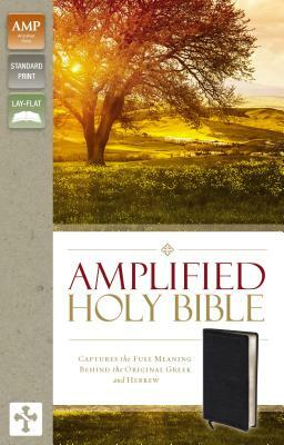 Amplified Bible-Am: Captures the Full Meaning Behind the Original Greek and Hebrew by The Zondervan Corporation