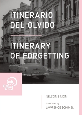 Itinerario del olvido / Itinerary of Forgetting by Lawrence Schimel, Simon Nelson
