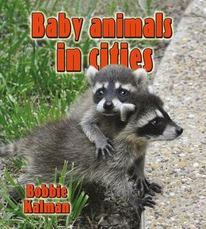 Baby Animals in Cities by Bobbie Kalman