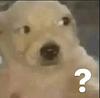 kalmia_357's profile picture